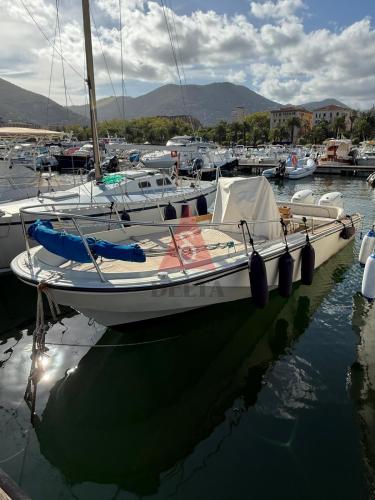 Boston whaler outrage 22