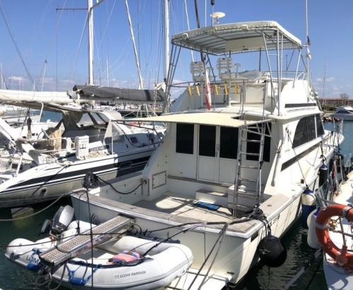 Bertram yacht 46' convertible