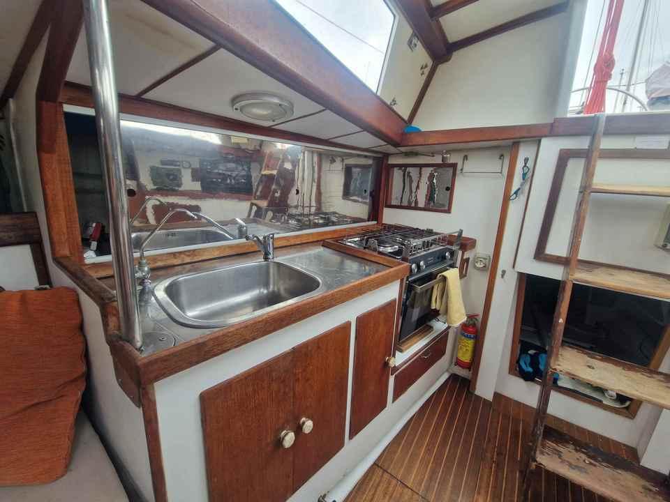 sciarelli Scia 50