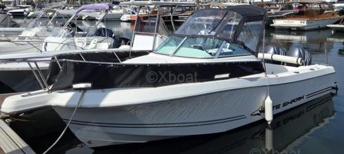 Kelt white shark 236