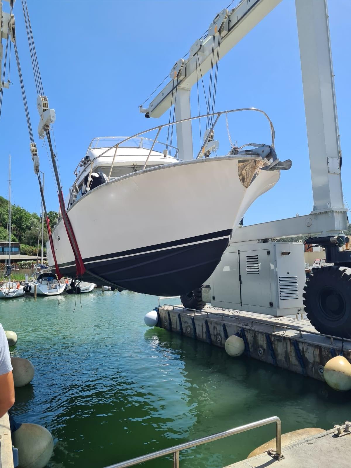 bertram yacht 33' sf