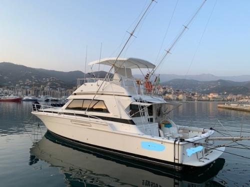 Bertram yacht 50' convertible