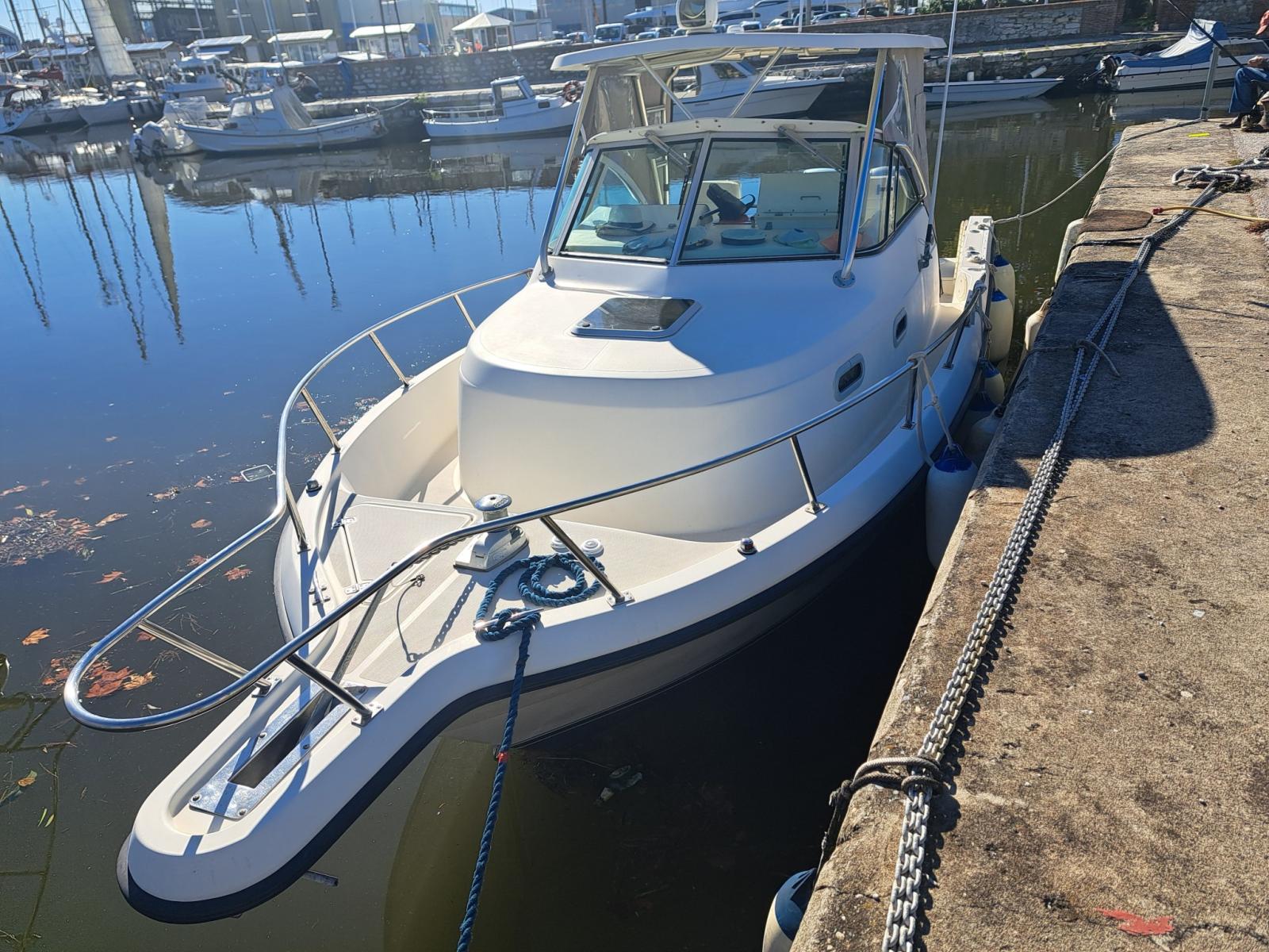 pursuit 2870 walkaround