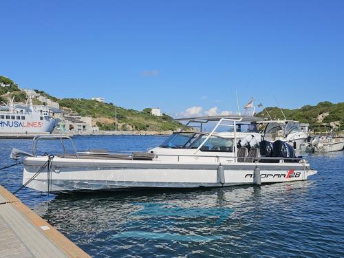 Axopar 28 t-top