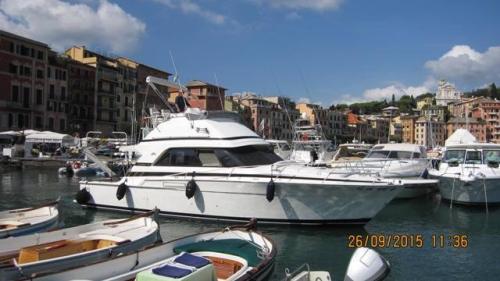 Bertram yacht 37' convertible