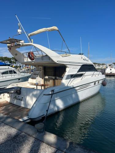 Princess yachts 440 fly