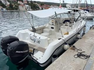 Boston whaler boston 305 conquest