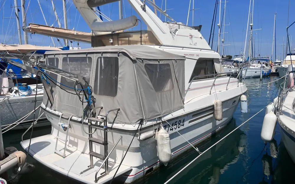 princess Princess 315