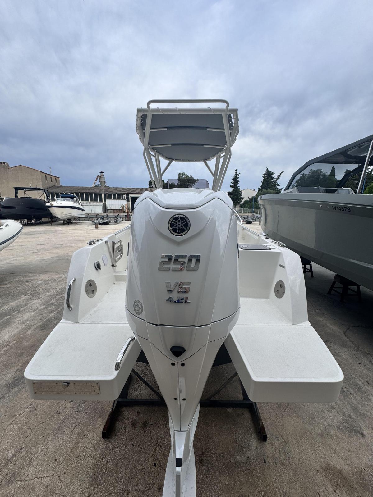 white shark 240 cc evo