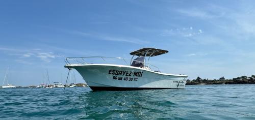 White shark 230 cc origin