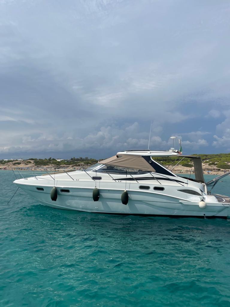 sealine S43
