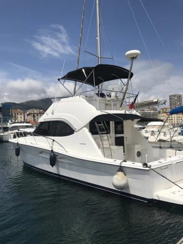 Riviera marine 40 fly