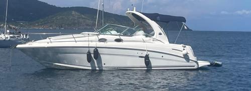 Sea ray 335 da