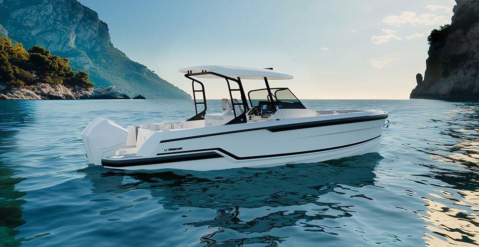 wellcraft 28 t-top