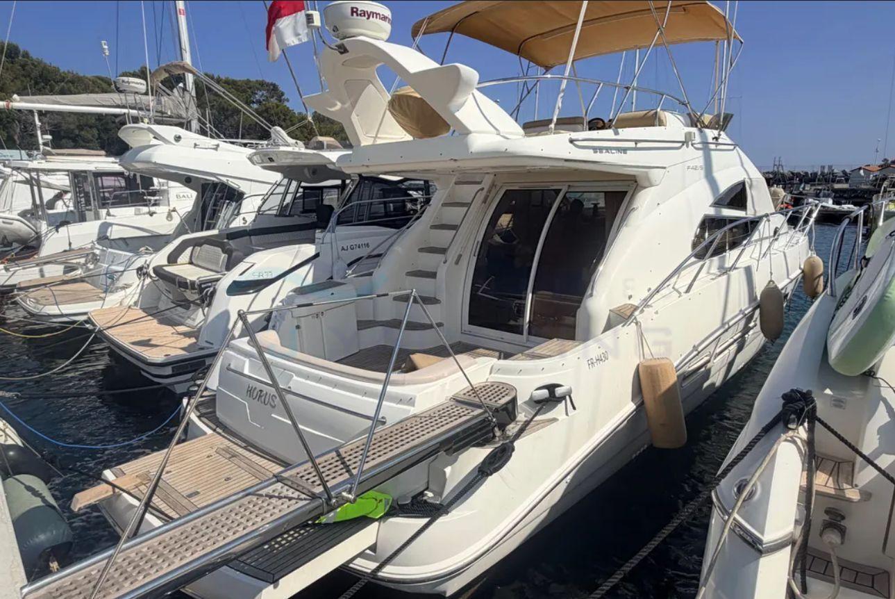 sealine F42/5