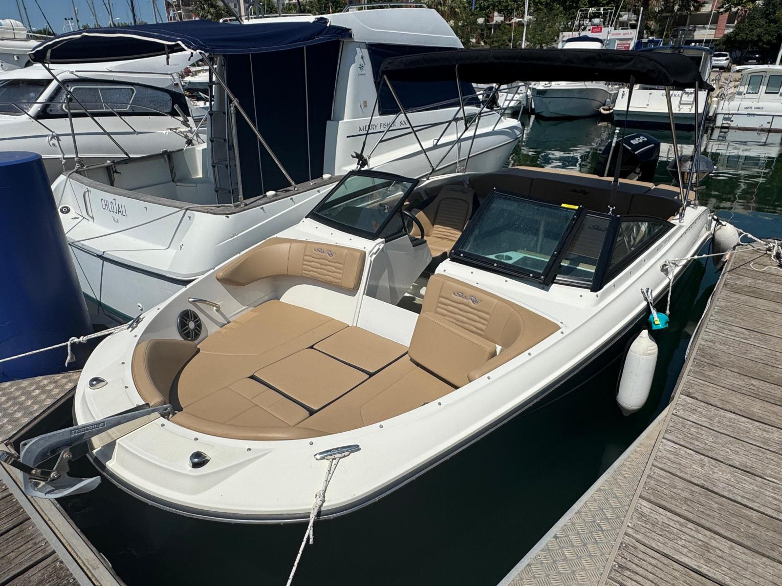 sea ray 210