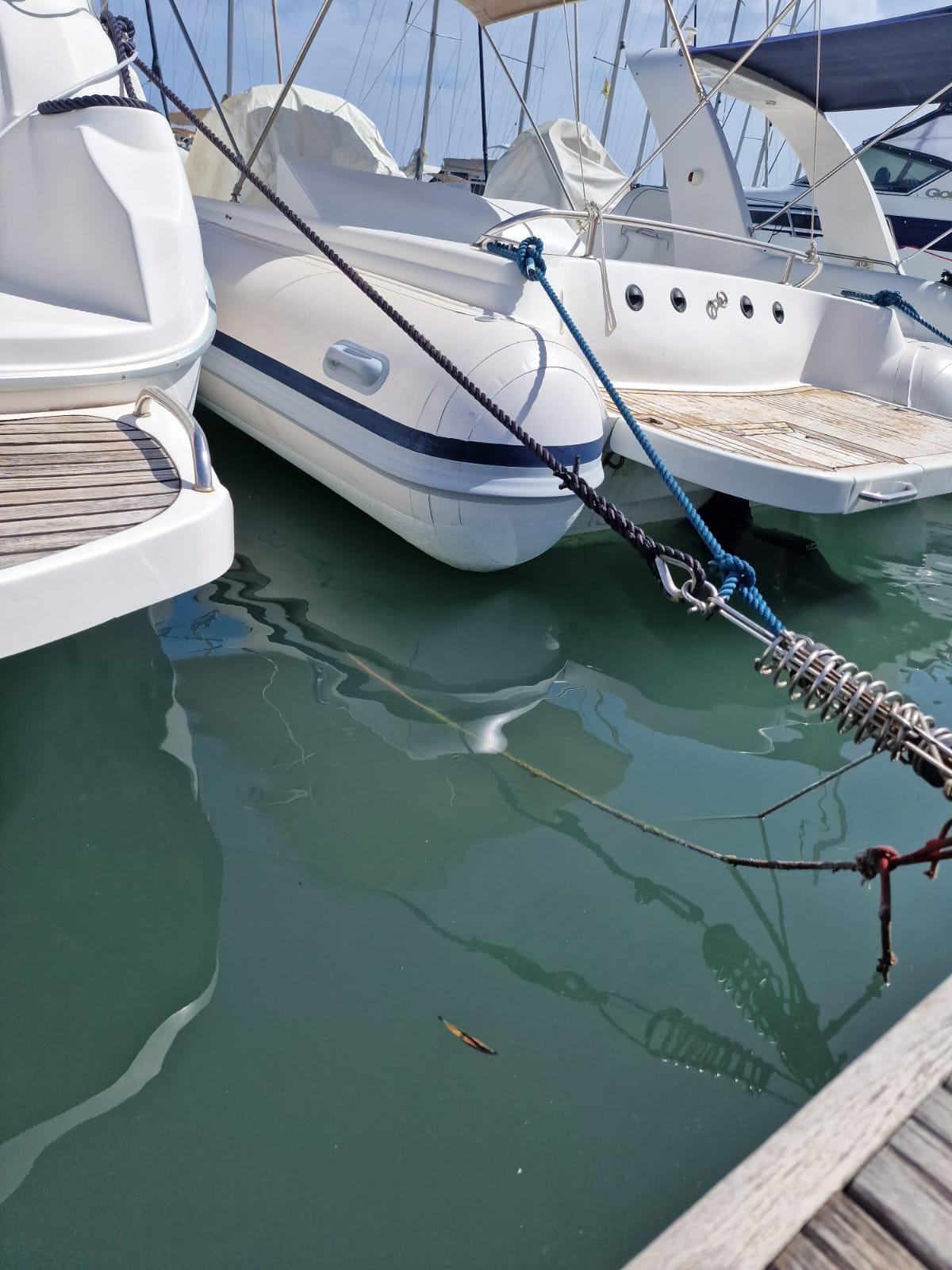 alson italia Flash 750 entro fuori bordo