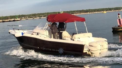 Kelt white shark 248 sundeck