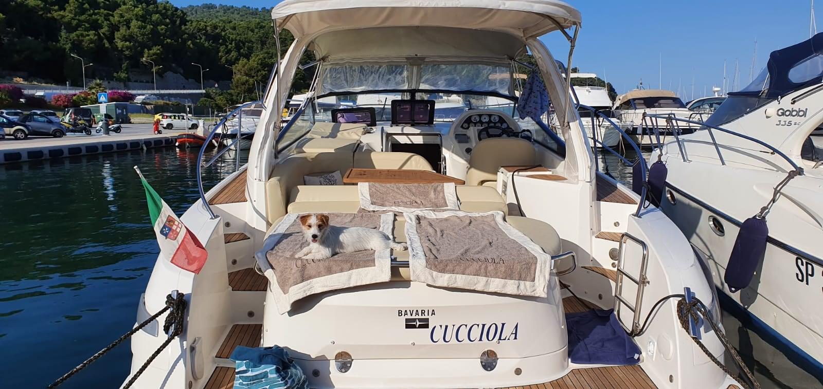 bavaria yachts 34 sport