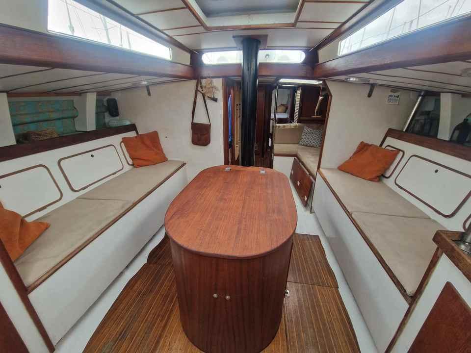 sciarelli Scia 50