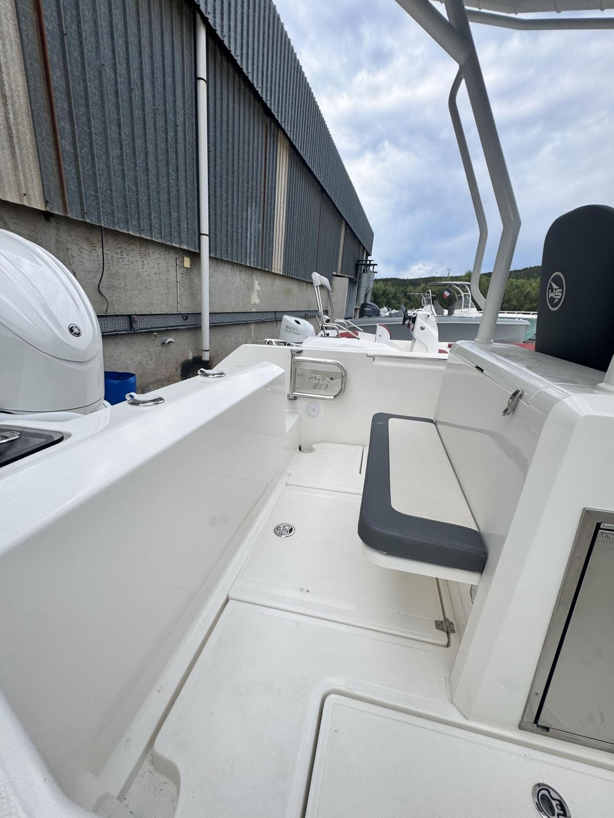 white shark 240 cc evo