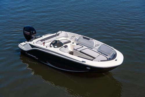 Bayliner m 15