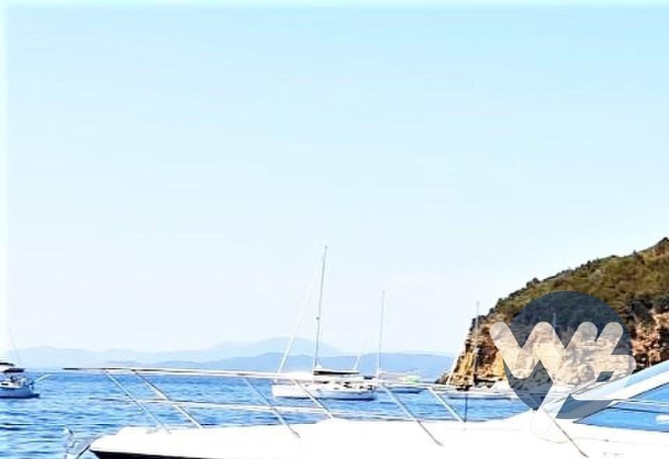 absolute Absolute 40