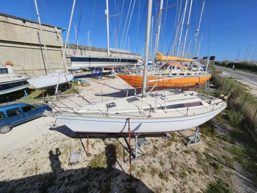 Jeanneau sun rise 34 dl