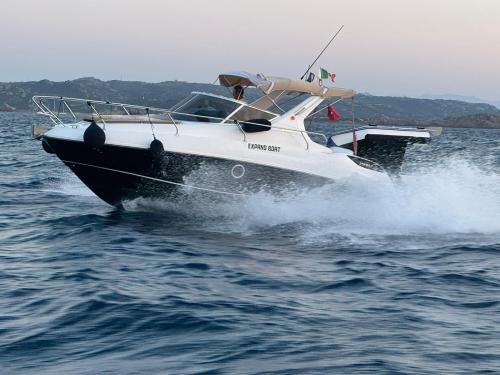 Salpa laver 23 x
