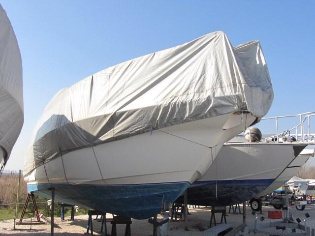 sealine 360 ambassador
