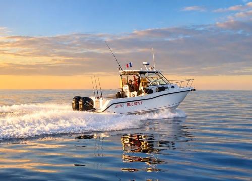 Boston whaler 305 conquest