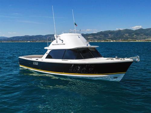 Bertram yacht 31 flybridge