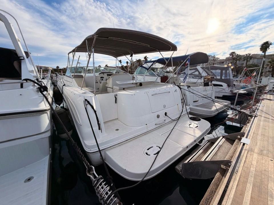 sea ray 290 amberjack