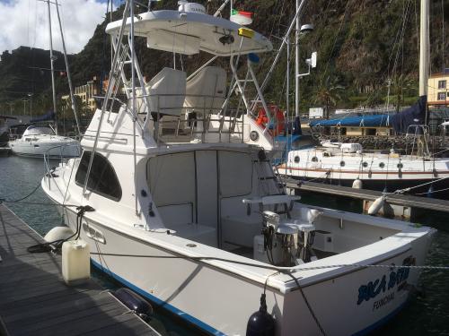 Bertram 28