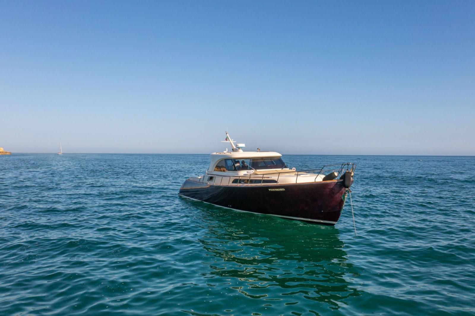 mochi craft Mochi 51 dolphin