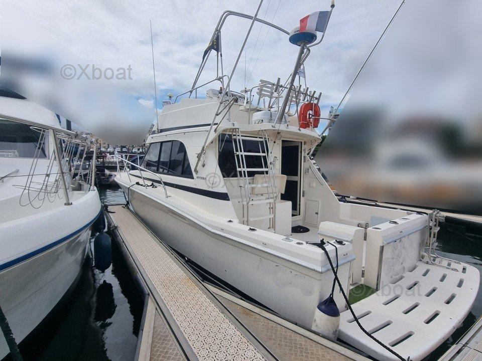 riviera Riviera 33 flybridge