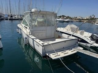 carolina classic Classic 28