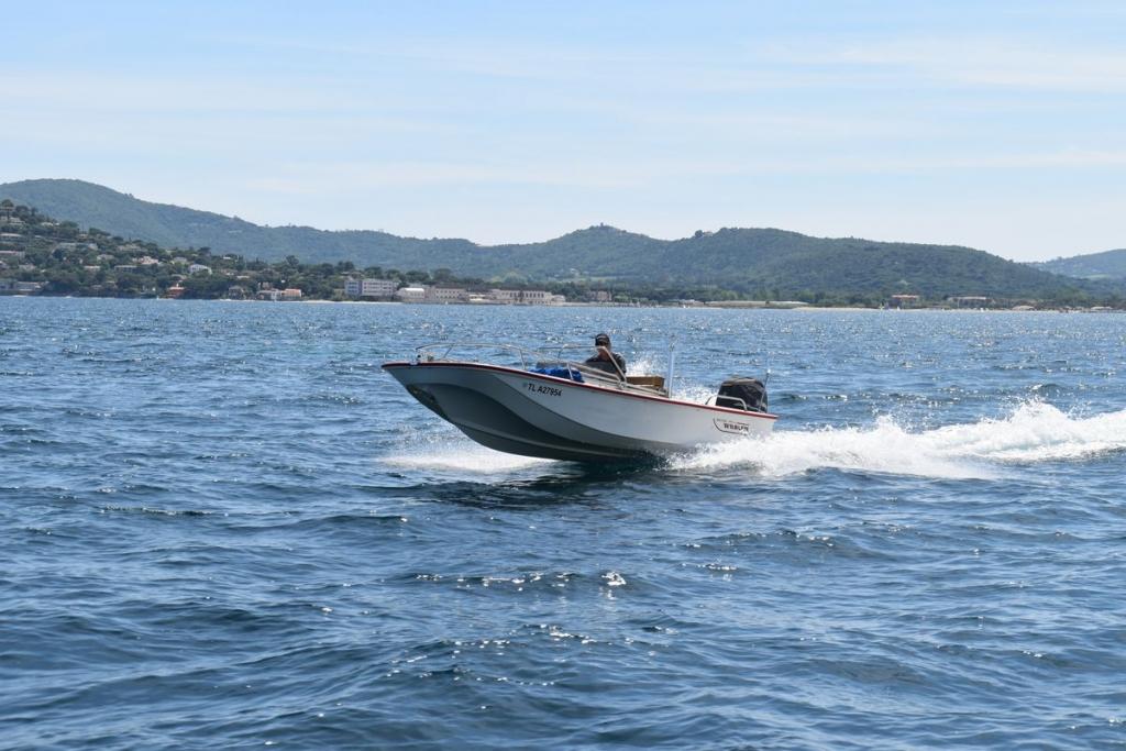 boston whaler 17 newport