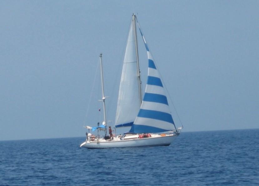 gibert marine GIB SEA 37