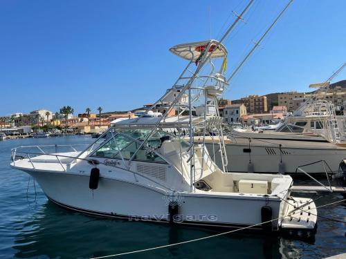 Carolina classic cc 32