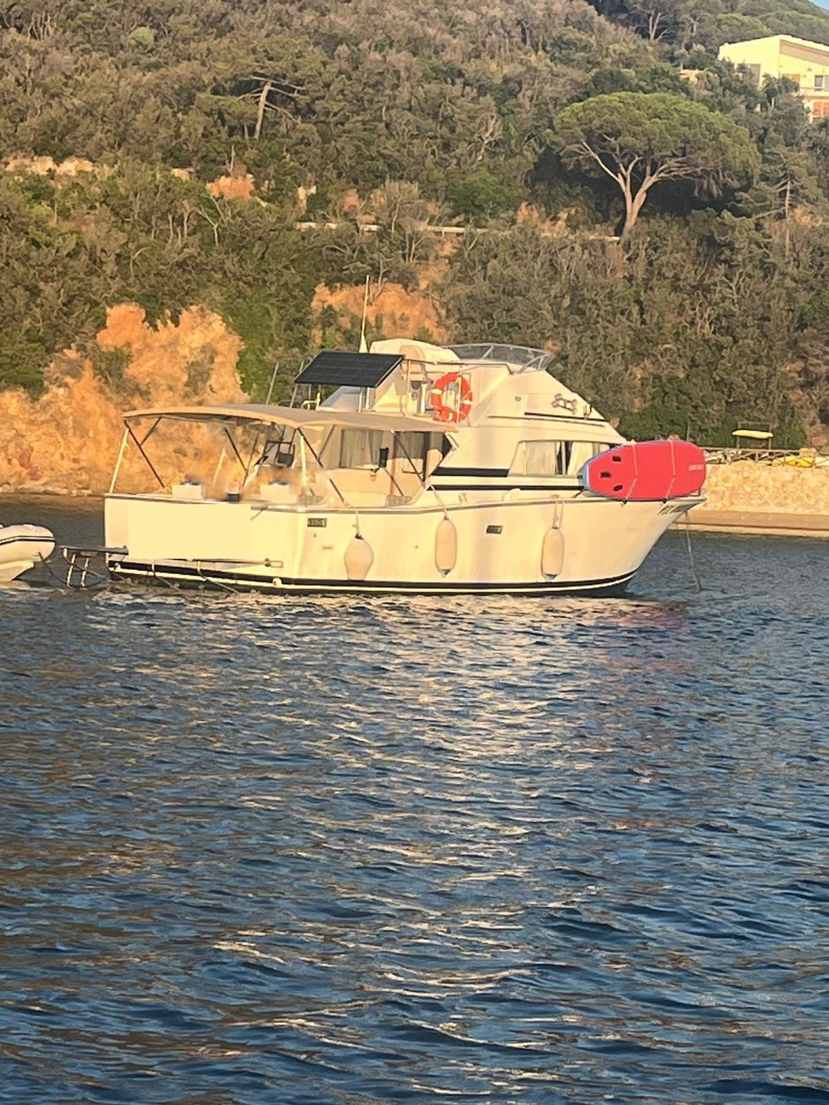 bertram yacht 33' sf