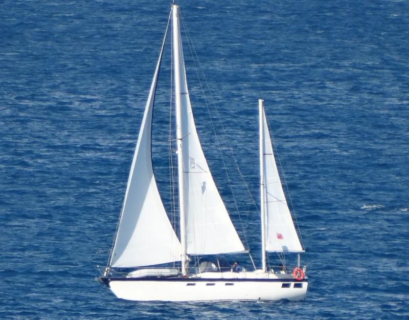 oyster marine Oyster 39