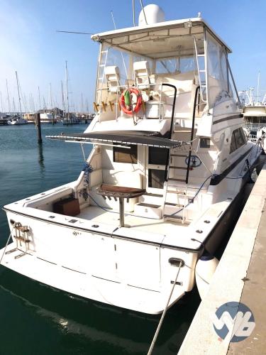 Bertram yacht 43' convertible