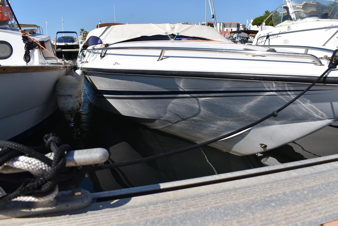 tullio abbate Tullio abbate sea star