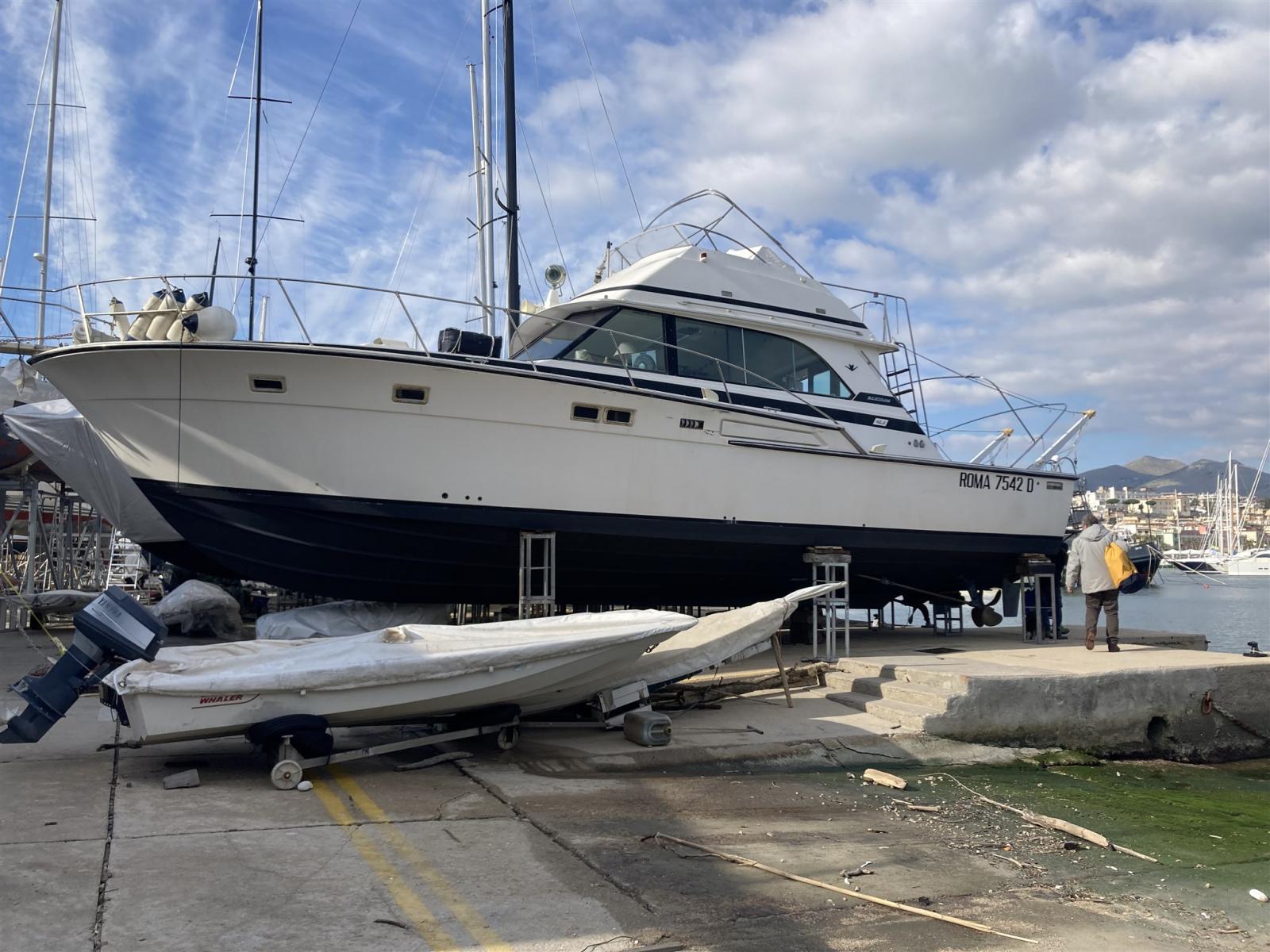 bertram yacht 46.6 convertible