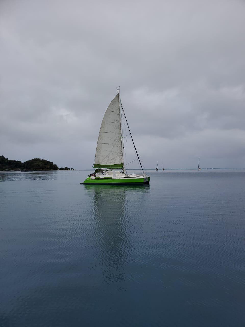 chantier catana 40s