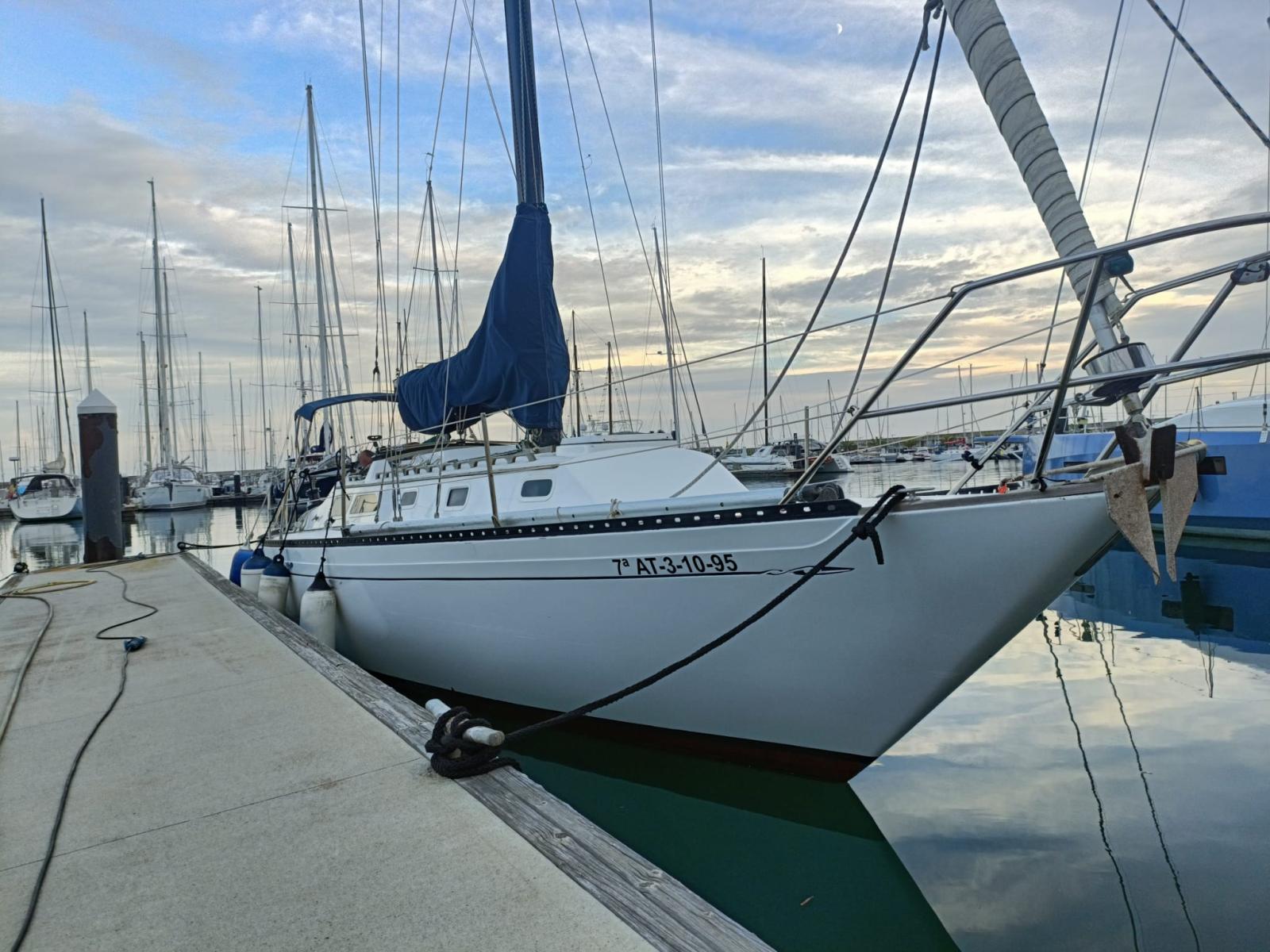 islander 36