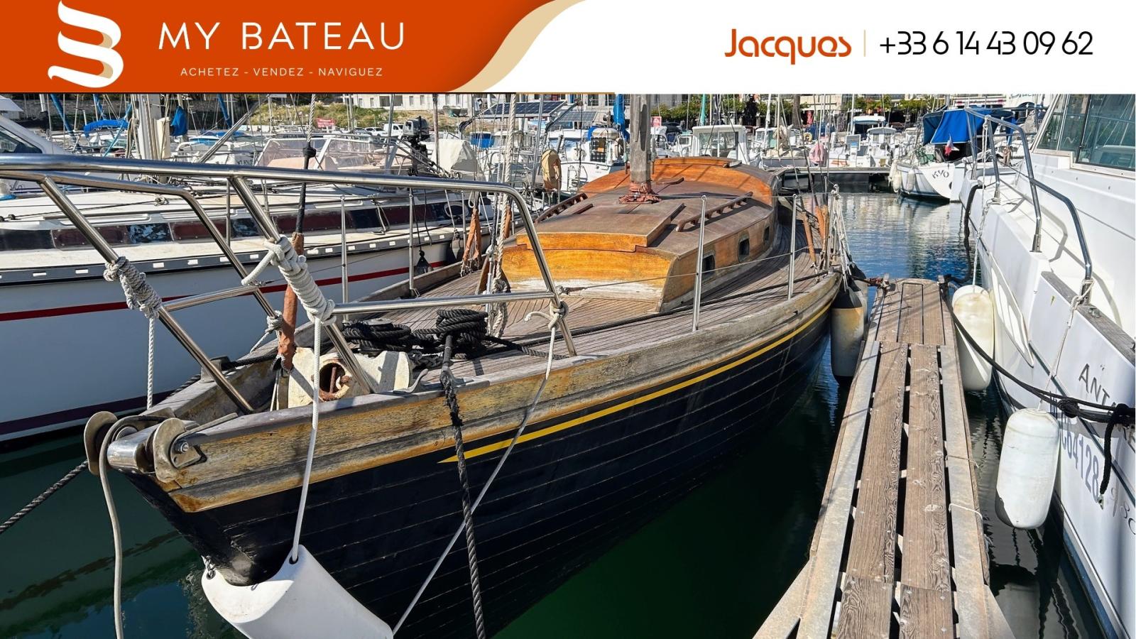 norvegien silvestro Yseult