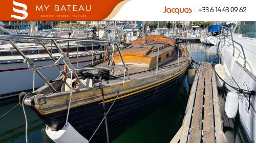 Norvegien silvestro yseult