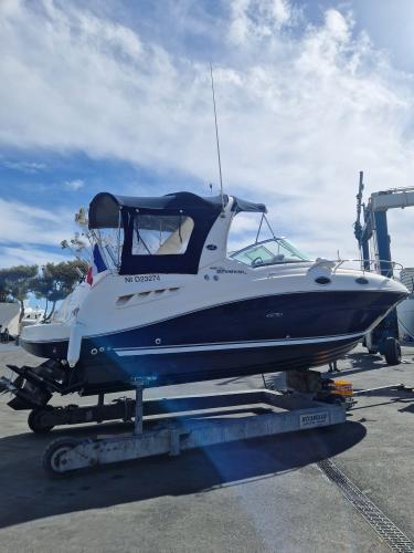 Sea ray sundancer 275